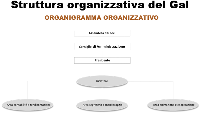 Organigramma organizzativo