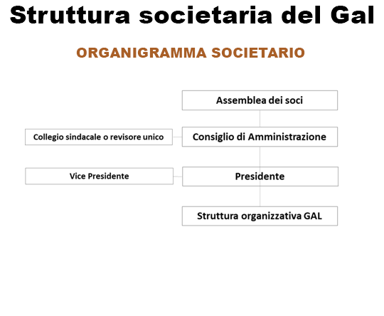 Organiagramma societario