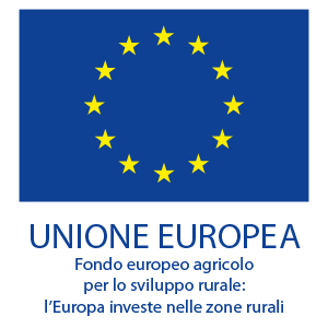 UE